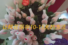 鲜花保存10-15天的方法#鲜花养护视频封面