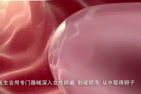 不结婚也可以生孩子，原来是这样做到的！视频封面