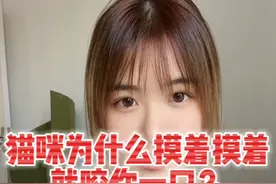 猫咪摸着摸着，突然回头咬你一口居然是在表达他才是大哥？！#养猫经验分享 #我和我的怨种猫咪 #养猫人 #小猫咪能有什么坏心眼视频封面