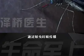 抗疟疾之奇草—青蒿#科学 #科普 #抖进科学 #名人大咖#蚊子 视频封面