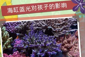 来自一位父亲的担忧，海缸蓝光对孩子视力影响有多大？！视频封面