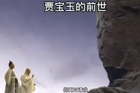 【红楼梦】之宝玉的前世视频封面