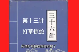 三十六计 第十三计 打草惊蛇 商战 人情世故等都适用学起来吧视频封面