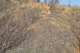 地不大也出贵，峨眉案太好了，女贵视频封面