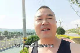 击穿人性的底线，你爽了吗？视频封面