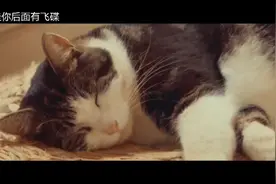我的心脏脉搏，为你跳动为你狂，你却说我真的多余。视频封面