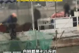 岂有此理！#天津#水上公园有人捕鱼卖鱼，捕鱼的竟然还是工作人员？#天津水上公园有人捕鱼卖鱼 #天津水上公园视频封面
