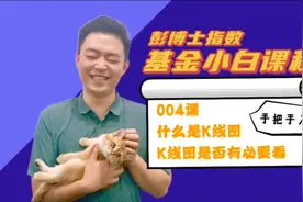 基金小白课程004:K线图和K线图有没有必要看。实话实说K线图。视频封面