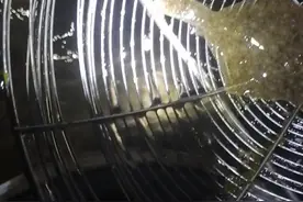 烟台第一海水浴场赶海视频封面