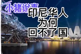 印尼华人为何现在还回不了祖国？有去无回#印度尼西亚#华人#祖国视频封面