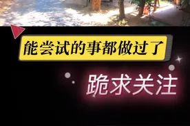 柬埔寨适合创业吗？#海外 #柬埔寨 #东南亚 #金边 #海外华人 #西哈努克港 #创业 #海外创业 #海外生活视频封面