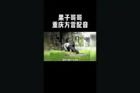 当动物都用重庆话交流，你遭不遭得住嘛#果子哥哥 #神奇动物在抖音 