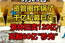 景林狂卖120亿，高毅80亿秒光！#私募又火了#景林资产#高毅资产#紫金矿业#拼多多#中通快递#好未来#中概股视频封面