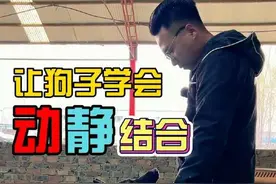 狗狗太兴奋怎么办，希望这两个步骤可以给你一些启发。#训犬 #狗狗 #萌宠 #宠物训练学校视频封面