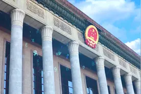 政务大厅应用RPA+AI“机器人雇员”，提高政务服务质量#RPA机器人视频封面