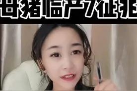 什么时候小猪会出生呢？母猪会有什么症状呢？听我说视频封面