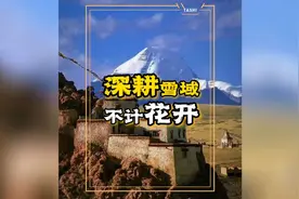 “藏语文应当成为一个完整的现代化语文，既可以讨论科学视频封面