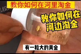 教你如何在河边淘金，视频可能会删，抓紧点赞收藏！#淘金 #金矿视频封面