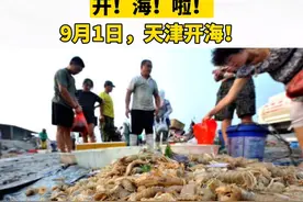 开！海！啦！#9月1日天津开海 ，海鲜要上餐桌啦！你打算买点啥~ #天津 #开海 视频封面