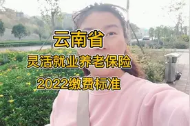 #云南省灵活就业养老保险2022缴费标准#家人们你们交了吗？视频封面