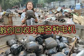想学废品回收吗，教你拆解各种电机，分析它的分类价值视频封面