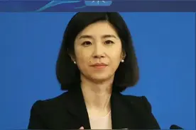 济南姑娘张璐履新外交部翻译司副司长，曾多次亮相总理记者会视频封面