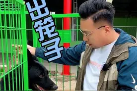 狗出笼子太兴奋，解决起来很简单。#训犬 #宠物训练学校 #萌宠 #狗狗视频封面