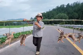 大妈对着手机在公路上手舞足蹈学音乐，大爷看到了立即出手了视频封面