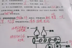 七年级下册生物期末考试复习题详解视频封面