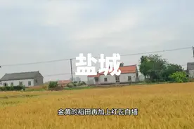 今天去苏北吃个饭，顺便感受一下苏南和苏北的差异吧#周边游视频封面