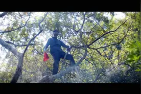 薛仁贵在象州（上）视频封面