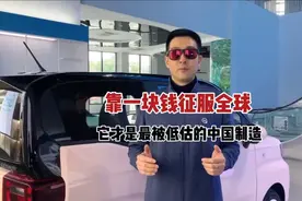 1块钱征服全球，30年不涨价 
#世界 #奇瑞QQ冰淇淋视频封面