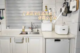 美仕杰果蔬净化清洗机，食品安全卫士，解放双手！#家居视频封面