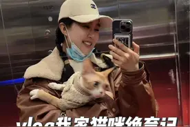 rara是去年我失恋后抱回来的猫咪，非常粘人也特别调皮，我知道，等来年春暖花开它该做绝育手术的时候，我也就彻底愈合了。#又是被小猫可爱到的一天 #德文卷毛猫 #是宠物更是家人视频封面