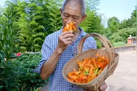 乡村美食物产多？老爸摘绿葱花笑呵呵，两种做法味道香，吃过瘾了视频封面