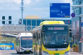 乌鲁木齐市公交实时查询功能上线视频封面