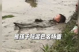 夏天到了，熊孩子又可以玩泥巴了#专治不开心 #开心一刻 #熊孩子视频封面