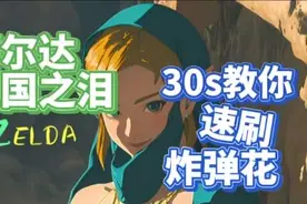王国之泪轻松实现炸弹花自由，简单#塞尔达传说王国之泪视频封面