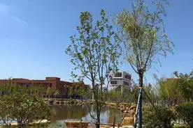 构建应用型人才系统化的发展通道，是优化职业教育类型定位视频封面