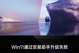 Win11安装助手升级报错怎么办？#建议收藏 #电脑知识 #电脑 #windows11 视频封面