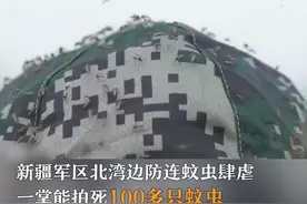 新疆军区北湾边防连的驻扎地环境十分恶劣，每到盛夏这里就会蚊虫肆虐，一巴掌能拍死100多只蚊子。视频封面