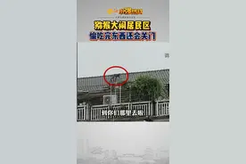 #猕猴大闹居民区， 偷吃完东西还会关门，竟从千岛湖一路游荡到杭州市区……视频封面