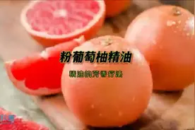 粉葡萄柚精油的功效与作用#芳香疗法 #精油芳疗 #科学护肤视频封面