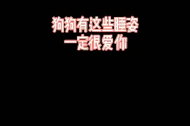 狗狗有这些睡姿，一定很爱你#萌宠 #狗狗 #宠物知识 #狗视频封面