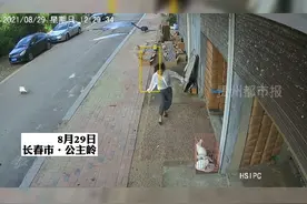因拿过母鹅的蛋，女子天天被自家公鹅追着咬！网友：实力宠妻，老公们都学着点吧！视频封面