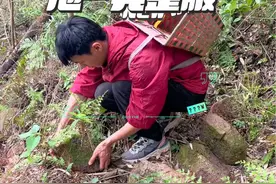 找了20吨上百年的风花石，打改造一个溪流鱼池，改造鱼池10天完整版，最后的效果太自然了#创作灵感 #乡村守护人 #我的乡村生活 #新农人计划2023 #小院改造视频封面