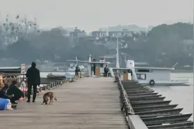 浮桥拆开的样子，你见过吗？#旅行推荐官 #赣州浮桥 #浮桥拆分视频封面