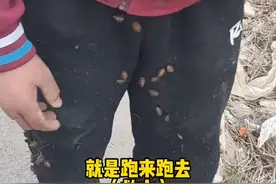 近日，山东临沂。两男孩放鞭炮点燃草地，主动拨打119后大哭，“还能救吗？我们进派出所吗？”视频封面