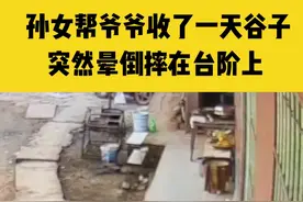 8月25日四川资阳，心疼！孙女帮爷爷收谷子，突然晕倒摔在台阶上，所幸无大碍视频封面