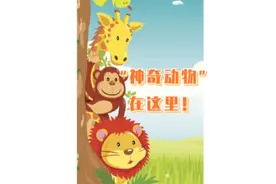世界动物日｜神奇动物在这里！视频封面